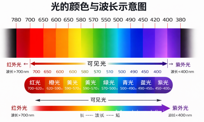光的颜色与波长示意图.png